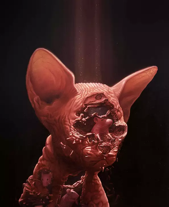 Łukasz Owczarek - wtf # kk