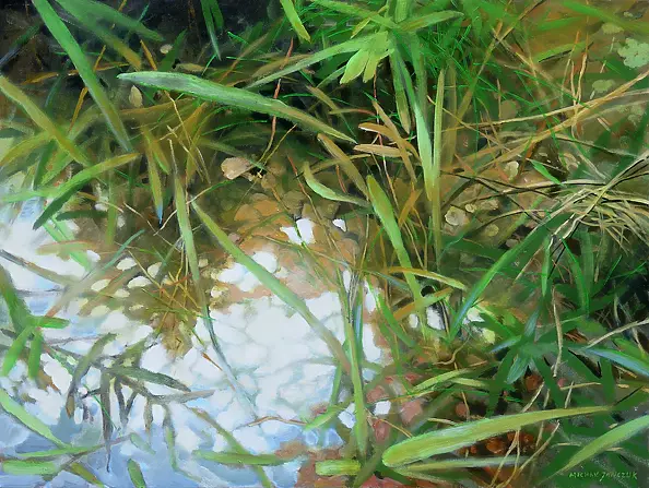 Michał Janczuk - z cyklu ogrody