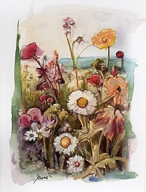 Jena Polak - the scent of a summer meadow