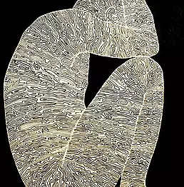 Monika Oleksińska - entangled