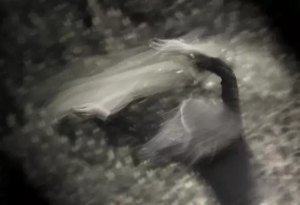 Anna Wojszel - ... Pour la destruction dans tańcu5 ...