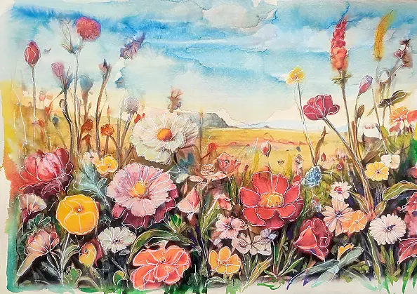 Jena Polak - stop in the meadow