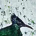 Lidia Misiuna - uccello verde