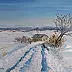 Kamila Dobrowolska Karaczewska - Winter in the countryside