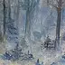Magdalena Bartocha - cold forest