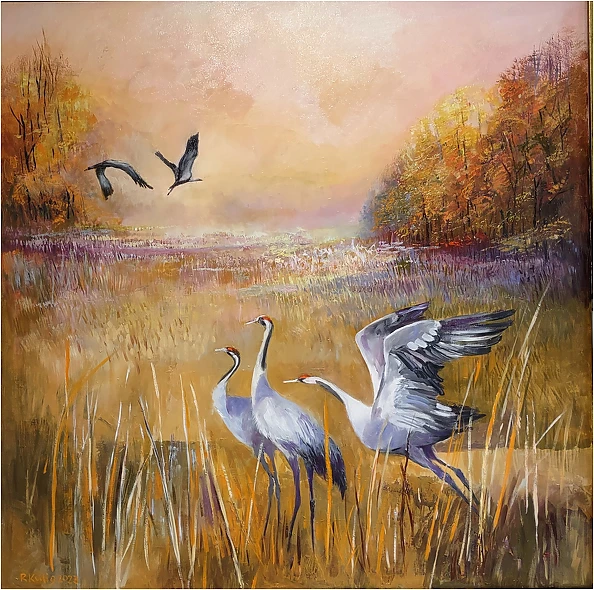 Renata Kulig Radziszewska - golden autumn of cranes