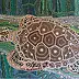 Mariusz Włazałek - turtle