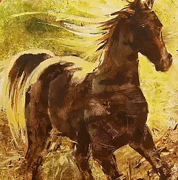 Jolanta Kalopsidiotis - źrebak