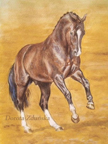 DRESSAGE HORSE VALEGRO - Pferd, Gemälde, Bild eines Pferdes - ART DOROTHEAH
