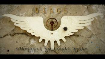 WINGS - "Infinity of Agnieszka Metko's Wings" - Agnieszka Metko