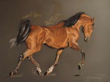 Bay horse. - Agnieszka  Morysiak