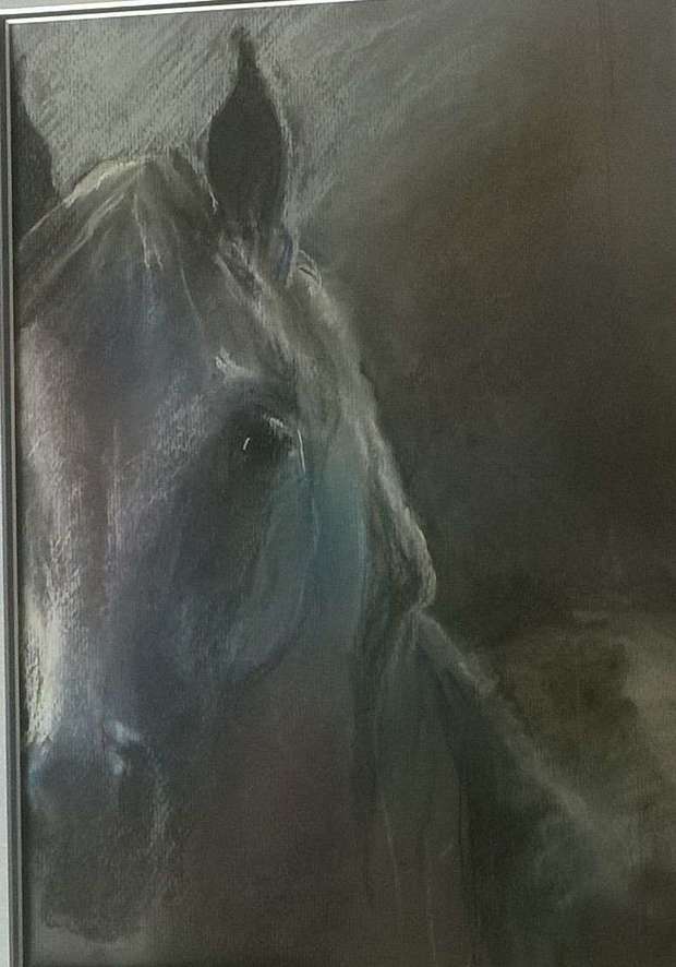 Porträt eines grauen Pferdes Agnieszka Słowik Kwiatkowska