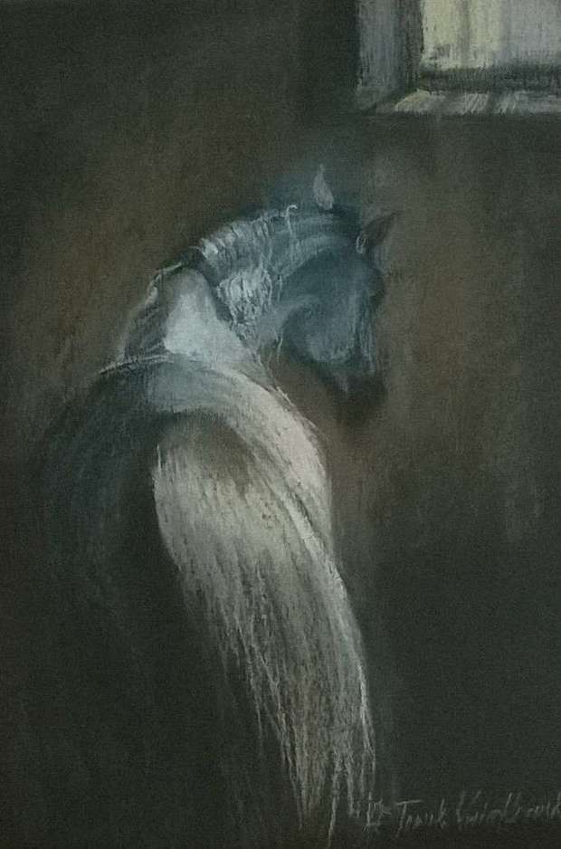 Серая арабская лошадь в конюшне Agnieszka Słowik Kwiatkowska