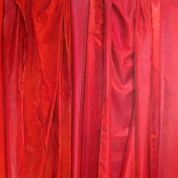 016 de la série Red Collection - Agnieszka Stańczyk