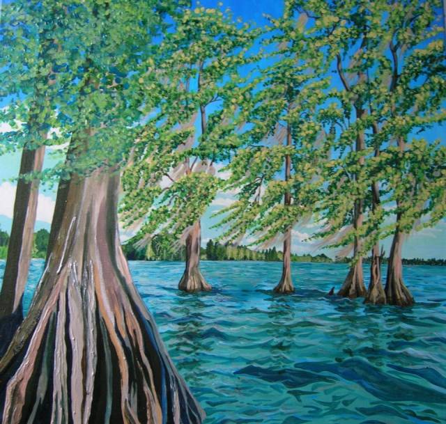 Mangroves Florida Aleksnadra Gaweł Krajska