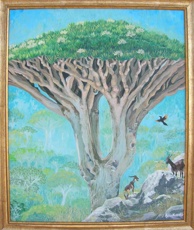arbre de dragon Aleksnadra Gaweł Krajska