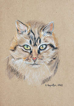Portrait of a cat - Amelia Augustyn