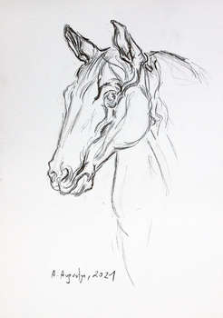 Pferd (Studie) - Amelia Augustyn