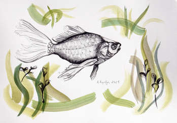 рыба - Amelia Augustyn