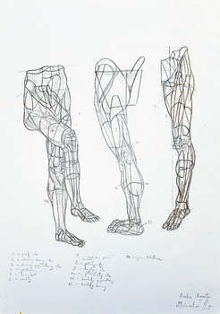 Anatomical drawing 1 - Amelia Augustyn