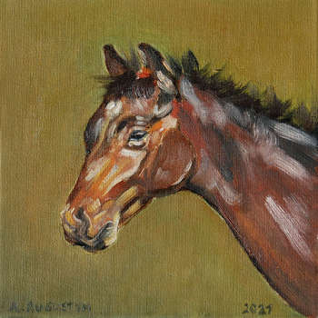 Foal - Amelia Augustyn