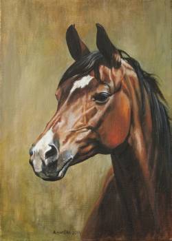 Horse Head III - Andrzej Hamera
