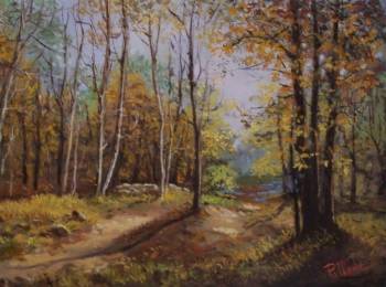 Wald im Herbst - Angelo Timpanaro