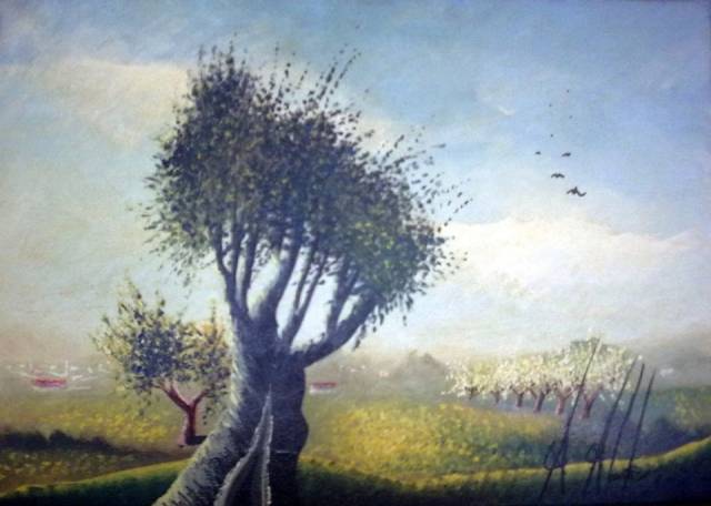 Drzewo oliwkowe... Antonio Abate