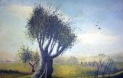 Olive tree ... - Antonio Abate