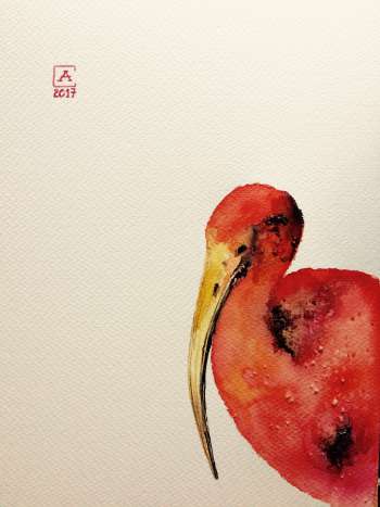 ibis - Artur Cieślar