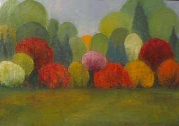 Krzewy w ogrodzie - Barbara  Przyborowska