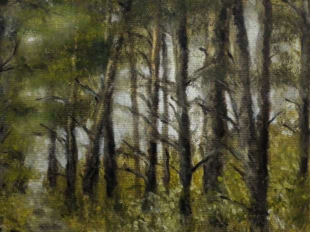 Im Schatten der Bäume Beata  Sulikowska