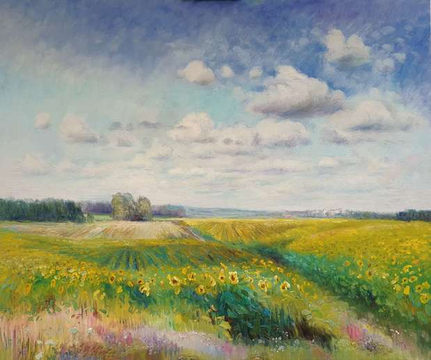 Sunflower field Bogdan Ermakov