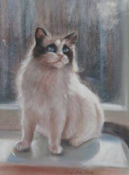 Katze - Celina Litke