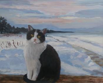 кот зимой - Celina Litke