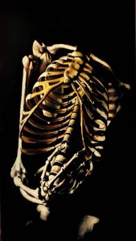 тело - Dominik Hanus