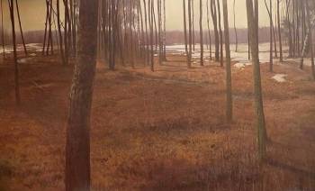 forêt Paysage - Dominik Woźniak