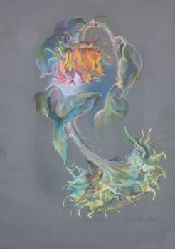 2 Sonnenblumen - Dorota Chwałek