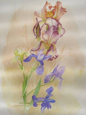 Irises - Dorota Kędzierska