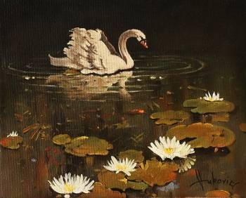 lonely swan - Dusan Vukovic