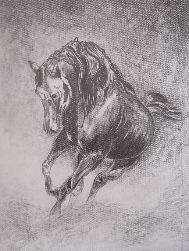 The black stallion Emilia Lewandowska