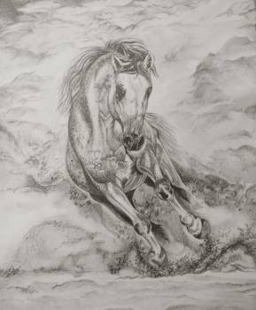 galloping steed - Emilia Lewandowska