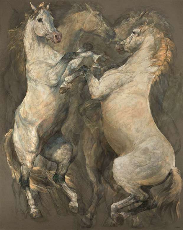 Walczące konie Ewa Lasek