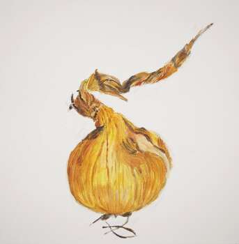yellow onion 3 - Ewa Słodzińska