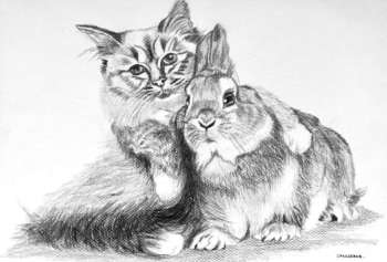 Katze mit einem Kaninchen - Ewa Zakrzewska