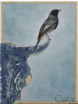 Es gibt so einen Vogel: Aschenputtel - Izabela Dąbrowska
