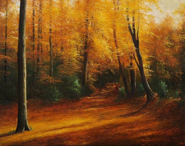 autumn forest Jacek Siedlec