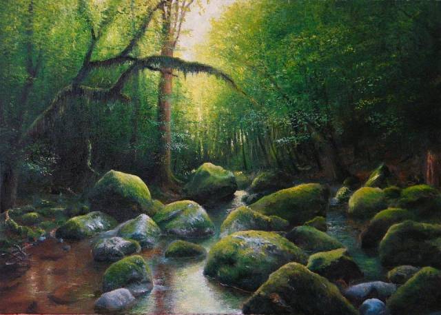 forest stream Jacek Siedlec