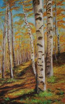 Birches - Jadwiga Rudnicka