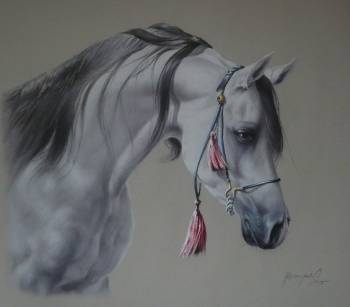 араба лошадь - Jarosław Jędrzejski